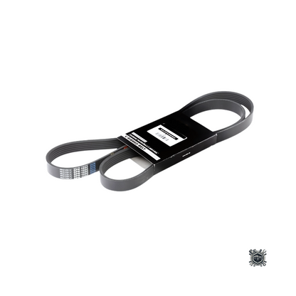 Correa De Accesorios