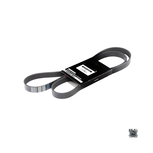 Correa De Accesorios