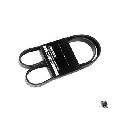 Correa De Accesorios