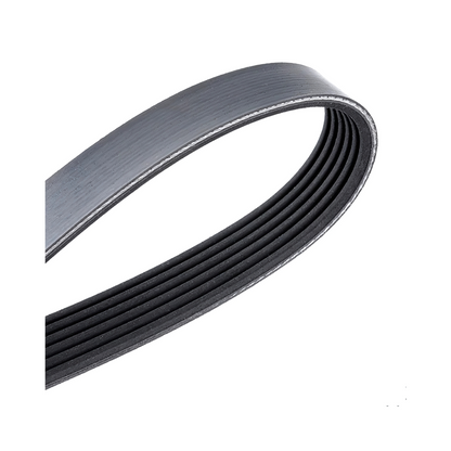 Correa De Accesorios