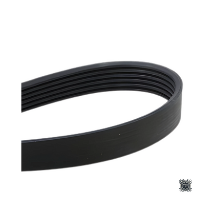 Correa De Accesorios