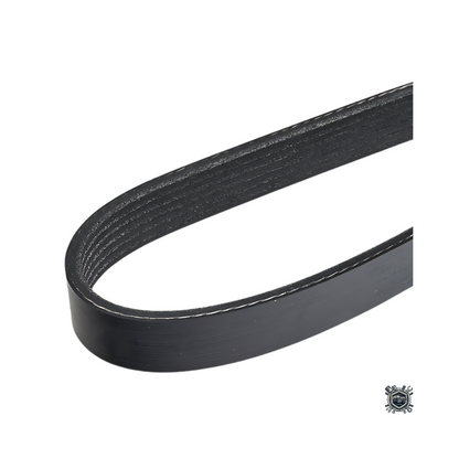 Correa De Accesorios