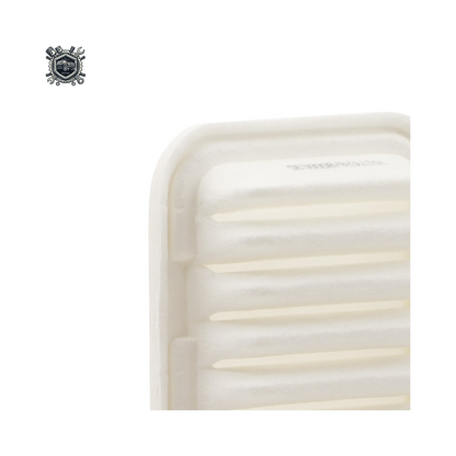 Filtro De Aire Motor